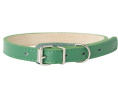 Ошейник для собак Mr.Kranch из натуральной кожи прямой зеленый (39-50 см)