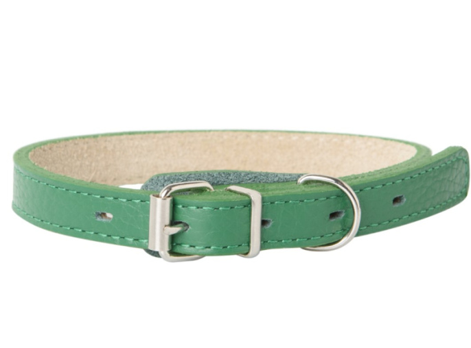 Ошейник для собак Mr.Kranch из натуральной кожи прямой зеленый (39-50 см)