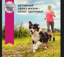 Сухой корм для собак Eukanuba Adult Small Breed (птица)