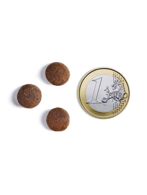 Сухой корм для собак Ambrosia Grain Free Dog Adult All Breed (индейка, утка) (2 кг)