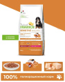 Сухой корм для щенков Trainer Natural Sensitive No Gluten Medium&Maxi Puppy&Junior (лосось) (12 кг)