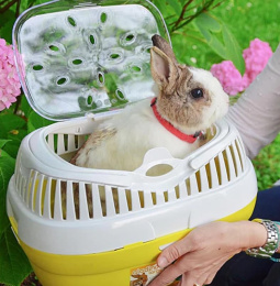 Переноска для грызунов Ferplast ALADINO