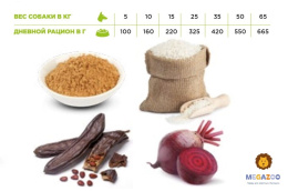 Сухой корм для собак Necon Delicious Adult (свинина, рис)