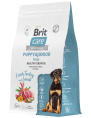 Сухой корм для щенков Brit Care Dog Puppy&Junior L Healthy Growth (индейка, ягненок) (3 кг)