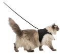 Набор для кошек "TRIXIE" шлея 36-54 см + поводок 1.2 м (41895)