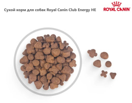 Сухой корм для собак Royal Canin Club Energy HE