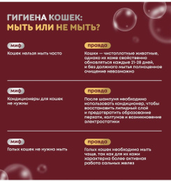 Восстанавливающий шампунь для любого типа шерсти для кошек ISB Just for cats Keratin