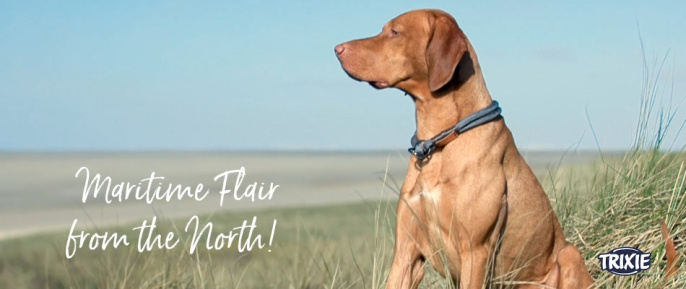 Ошейник-удавка для собак TRIXIE BE NORDIC (темно-серый/коричневый) (S-M, 40см/8мм)