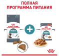 Влажный корм для кошек Royal Canin Hairball Care (соус) (85 гр*12 шт)