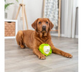 TRIXIE Игрушка для собак Свинка-капуста, 23 см