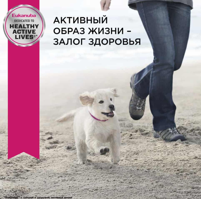 Сухой корм для щенков Eukanuba Puppy Medium Breed (птица) (0.8 кг)
