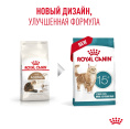 Сухой корм для очень пожилых кошек Royal Canin Ageing 15+ (0,4 кг)