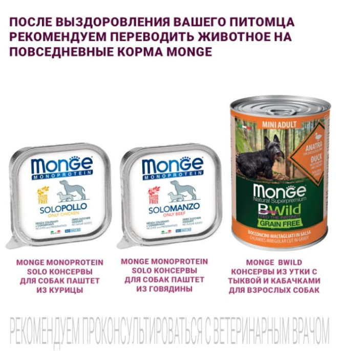 Сухой корм для собак Monge VetSolution Gastrointestinal Adult Dog (12 кг)