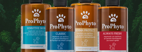 Акция! 10% на средств по уходу ProPhyto