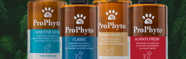 Акция! 10% на средств по уходу ProPhyto