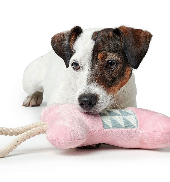 HUNTER Игрушка для собак Salima Bone (18 см)