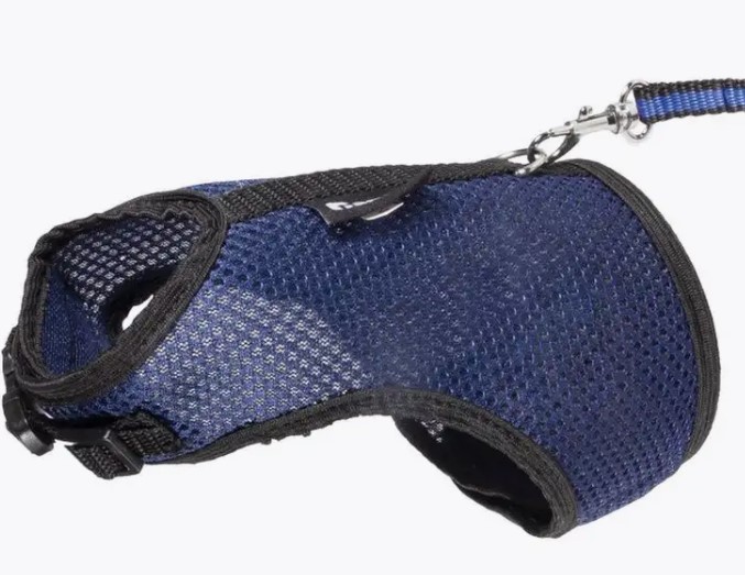 Gamma Комплект для морской свинки шлейка и поводок Шустрик (330х230 мм)