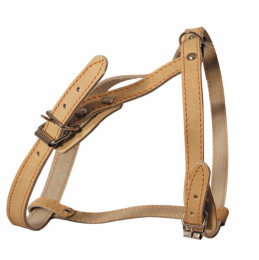 Gamma Шлейка для собак кожаная