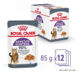 Влажный корм для кошек Royal Canin Appetite Control Care (желе) (85 гр*12 шт)