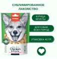 Лакомство сублимированное для собак Wanpy Dog (курица, фрукты) (40 гр)