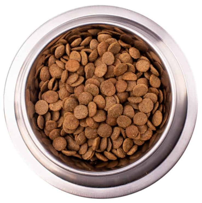 Сухой корм для собак Gemon Dog Mini Adult (лосось, рис) (20 кг)