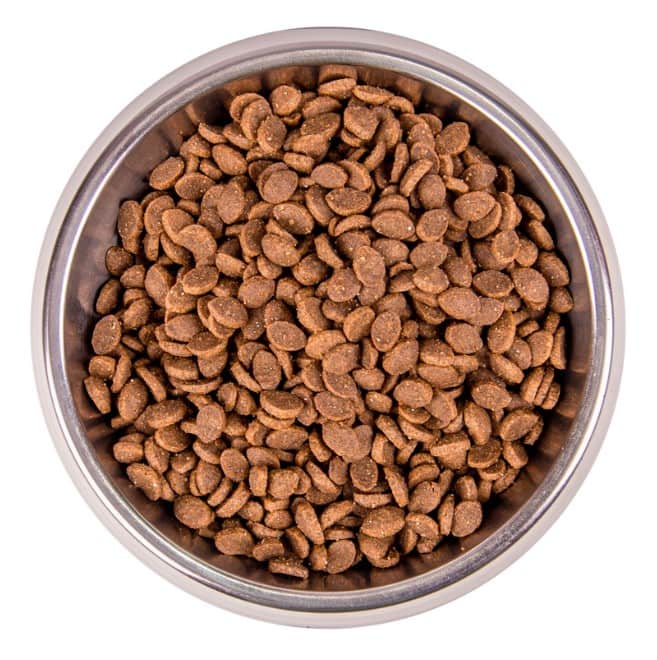 Сухой корм для кошек Monge Cat Bwild Low Grain Adult (анчоус) (1.5 кг)