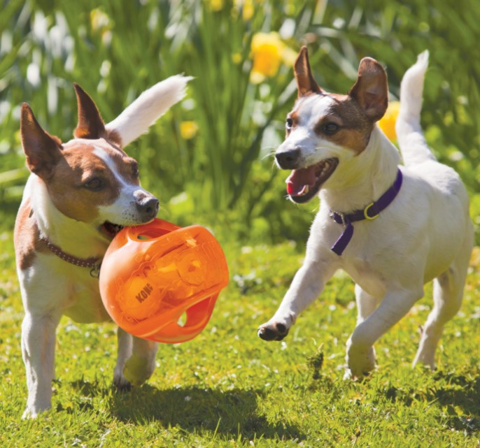 KONG Игрушка для собак Jumbler Ball (14 см)