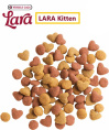 Сухой корм для котят LARA JUNIOR Kitten (курица) (2 кг)