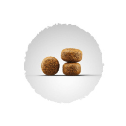 Сухой корм для собак Josera Balance (пожилые собаки/избыточный вес)