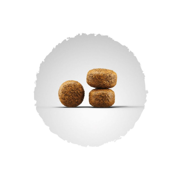 Сухой корм для собак Josera Balance (пожилые собаки/избыточный вес) (12,5 кг)