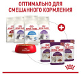 Влажный корм для кошек Royal Canin Sensory Smell (соус) (85 гр*12 шт)