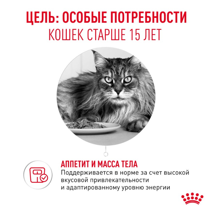 Влажный корм для очень пожилых кошек Royal Canin Ageing 15+ (85гр.х12 шт)