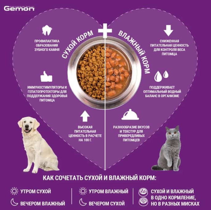 Сухой корм для кошек Gemon Cat Indoor (курица, рис)