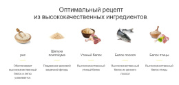 Сухой корм для собак Josera Sensi Junior