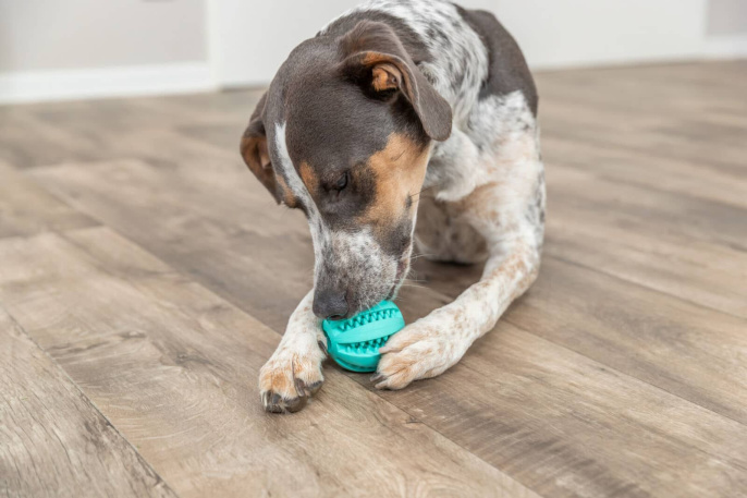 Игрушка для собак со вкусом мяты TRIXIE DENTAfun Ball (5 см)