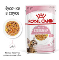 Влажный корм для котят Royal Canin Kitten Sterilized (в желе) (85 гр*12 шт)