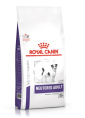 Сухой корм для собак Royal Canin Neutered Adult Small Dog (0,8 кг)