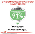 Сухой корм для собак Royal Canin Medium Digestive Care (12 кг)