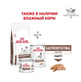 Сухой корм для собак Royal Canin Gastrointestinal Low Fat Small Dog (1 кг)