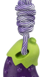 TRIXIE Игрушка для собак Баклажан на веревке, 13 см /34 см