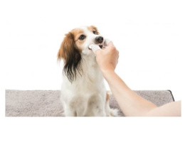 Салфетки-напальчники для ухода за зубами "TRIXIE" 50 шт. (29393)