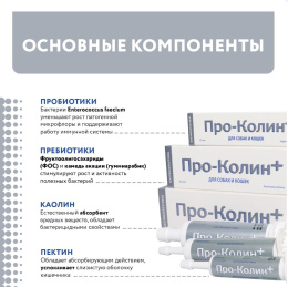 Снимок экрана 2026-08-12 211101