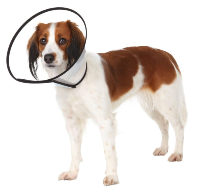 Защитный воротник для животных на липучке TRIXIE (XS, 18-23 см/8 см)