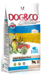 Сухой корм для собак Adragna Dog&Co Wellness ADULT MEDIUM / MAXI (рыба, рис)