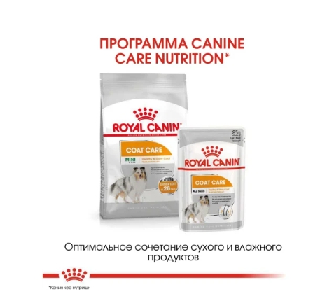 Паштет для собак Royal Canin Coat Care (85 гр*12 шт)