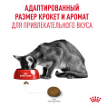 Корм сухой для привередливых кошек Royal Canin Fussy (0,4 кг)