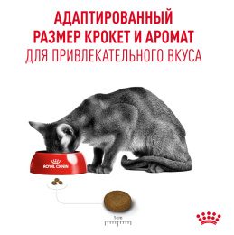 Корм сухой для привередливых кошек Royal Canin Fussy