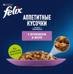 Влажный корм для кошек Felix Аппетитные кусочки в желе (ягненок)