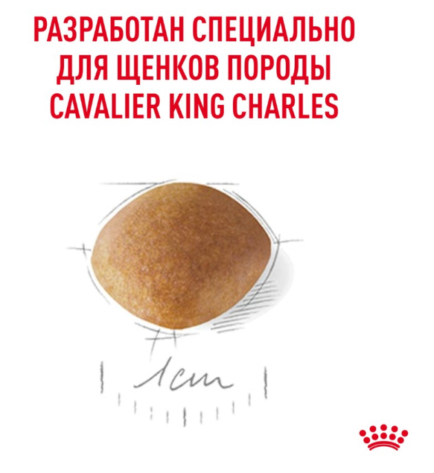 Сухой корм для щенков Royal Canin Cavalier King Charles Puppy (1,5 кг)