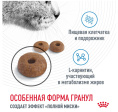 Сухой корм для кошек Royal Canin Light Weight Care (0,4 кг)